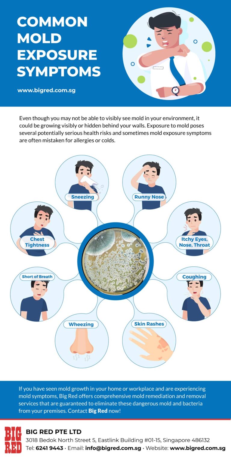 Common Mold Exposure Symptoms - Big Red Singapore