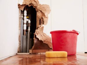 Water Damage – What to Look Out For?